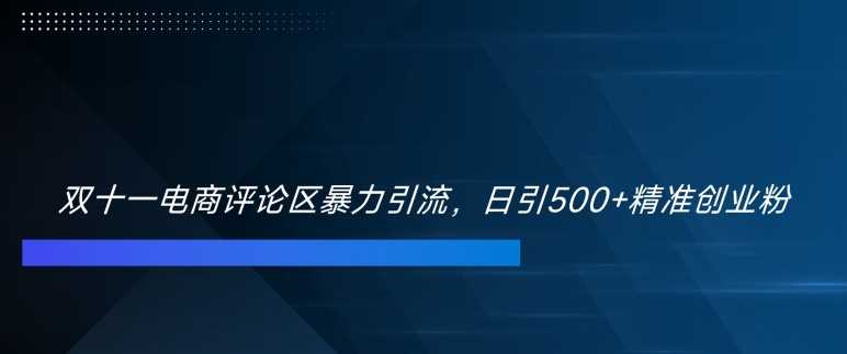 双十一电商评论区暴力引流，日引500+精准创业粉【揭秘】-网赚联盟