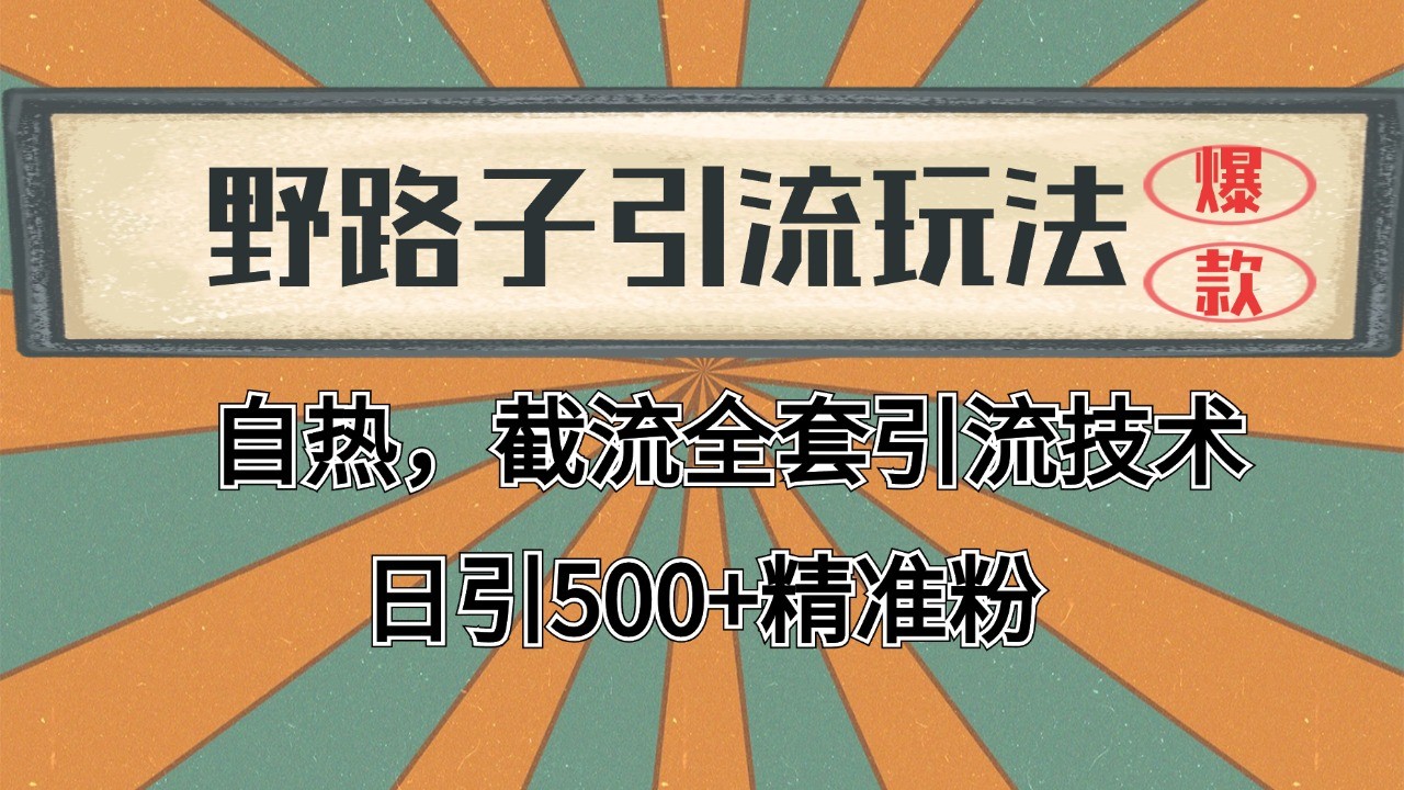 抖音小红书视频号全平台引流打法，全自动引流日引2000+精准客户-网赚联盟
