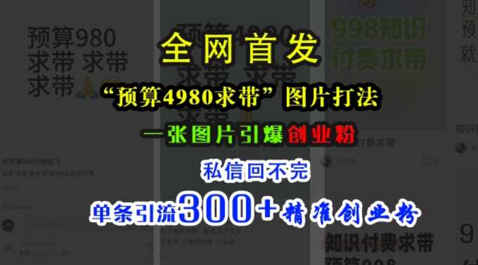 小红书“预算4980带我飞”图片打法，一张图片引爆创业粉，私信回不完，单条引流300+精准创业粉-网赚联盟