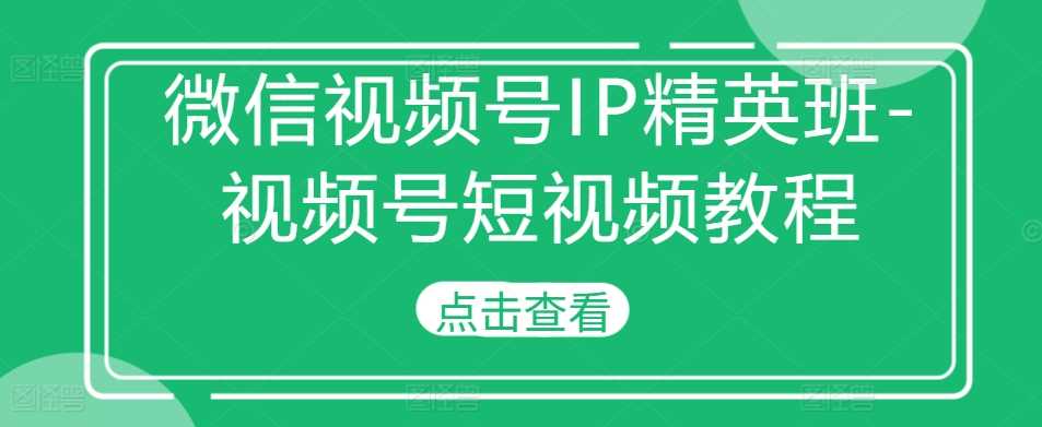微信视频号IP精英班-视频号短视频教程-网赚联盟
