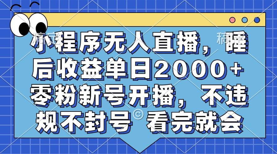 （13251期）小程序无人直播，睡后收益单日2000+ 零粉新号开播，不违规不封号 看完就会-网赚联盟