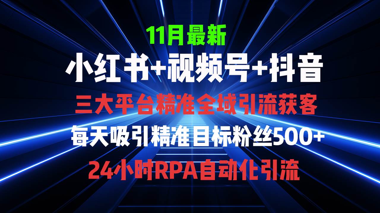 （13259期）全域多平台引流私域打法，小红书，视频号，抖音全自动获客，截流自…-网赚联盟
