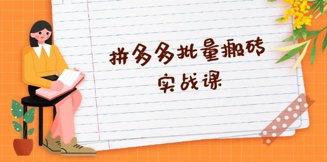 （13265期）拼多多批量搬砖实战课，全自动剪辑发布，黑科技新技术与爆款选品策略-网赚联盟