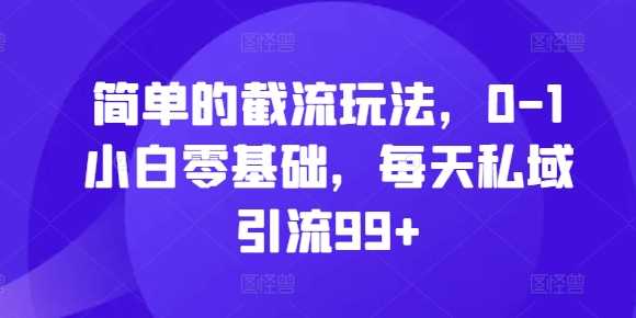 简单的截流玩法，0-1小白零基础，每天私域引流99+【揭秘】-网赚联盟