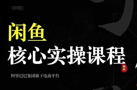 2024闲鱼核心实操课程，从养号、选品、发布、销售，教你做一个出单的闲鱼号-网赚联盟