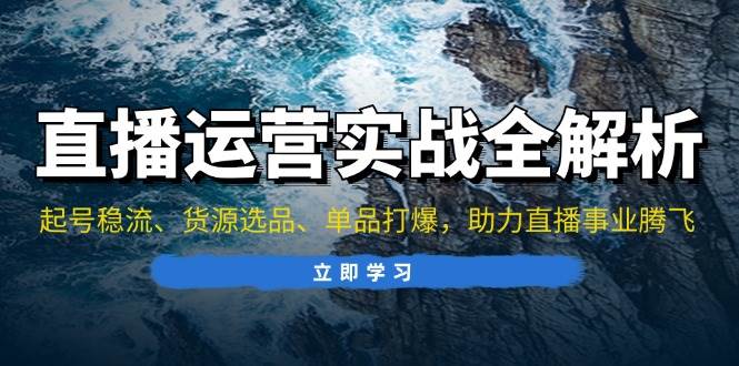 （13294期）直播运营实战全解析：起号稳流、货源选品、单品打爆，助力直播事业腾飞-网赚联盟