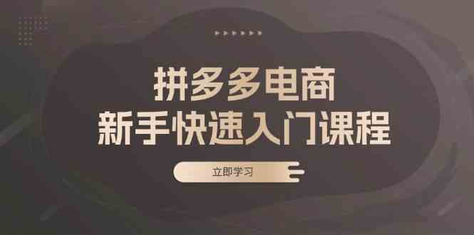 拼多多电商新手快速入门课程：涵盖基础、实战与选款，助力小白轻松上手-网赚联盟