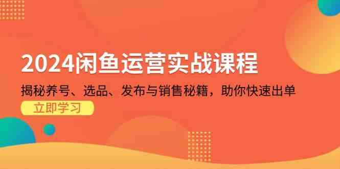 2024闲鱼运营实战课程：揭秘养号、选品、发布与销售秘籍，助你快速出单-网赚联盟