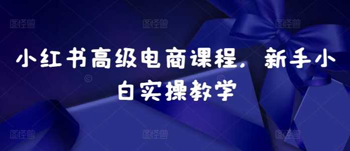 小红书高级电商课程，新手小白实操教学-网赚联盟