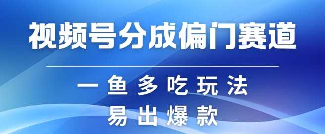 视频号创作者分成计划偏门类目，容易爆流，实拍内容简单易做【揭秘】-网赚联盟