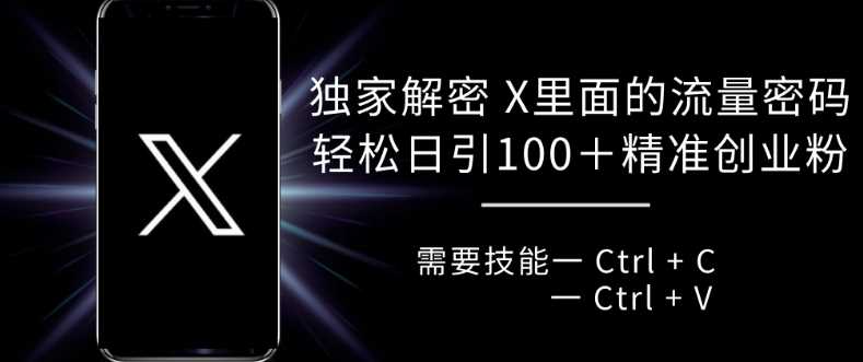 独家解密 X 里面的流量密码，复制粘贴轻松日引100+-网赚联盟