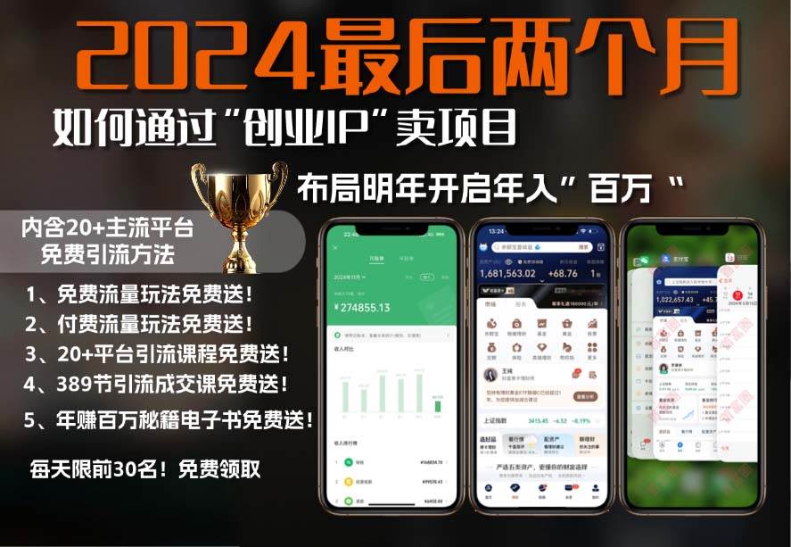 （13322期）2024最后两个月如何通过”创业IP“卖项目年入”百万“,创业IP+最强引流…-网赚联盟