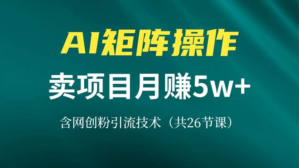 （13335期）网创IP打造课，借助AI卖项目月赚5万+，含引流技术（共26节课）-网赚联盟