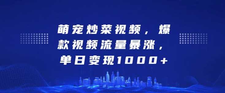 萌宠炒菜视频，爆款视频流量暴涨，单日变现1k-网赚联盟