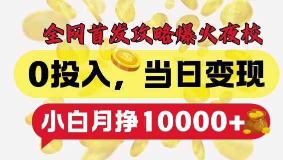 全网首发爆火夜校，0投入，当日变现，小白轻松月入1w+【揭秘】-网赚联盟