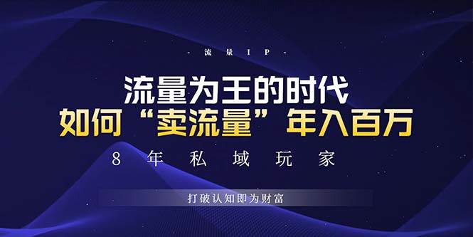（13433期）未来如何通过“卖流量”年入百万，跨越一切周期绝对蓝海项目-网赚联盟
