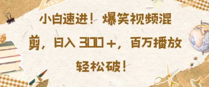 小白速进，爆笑视频混剪，日入3张，百万播放轻松破【揭秘】-网赚联盟