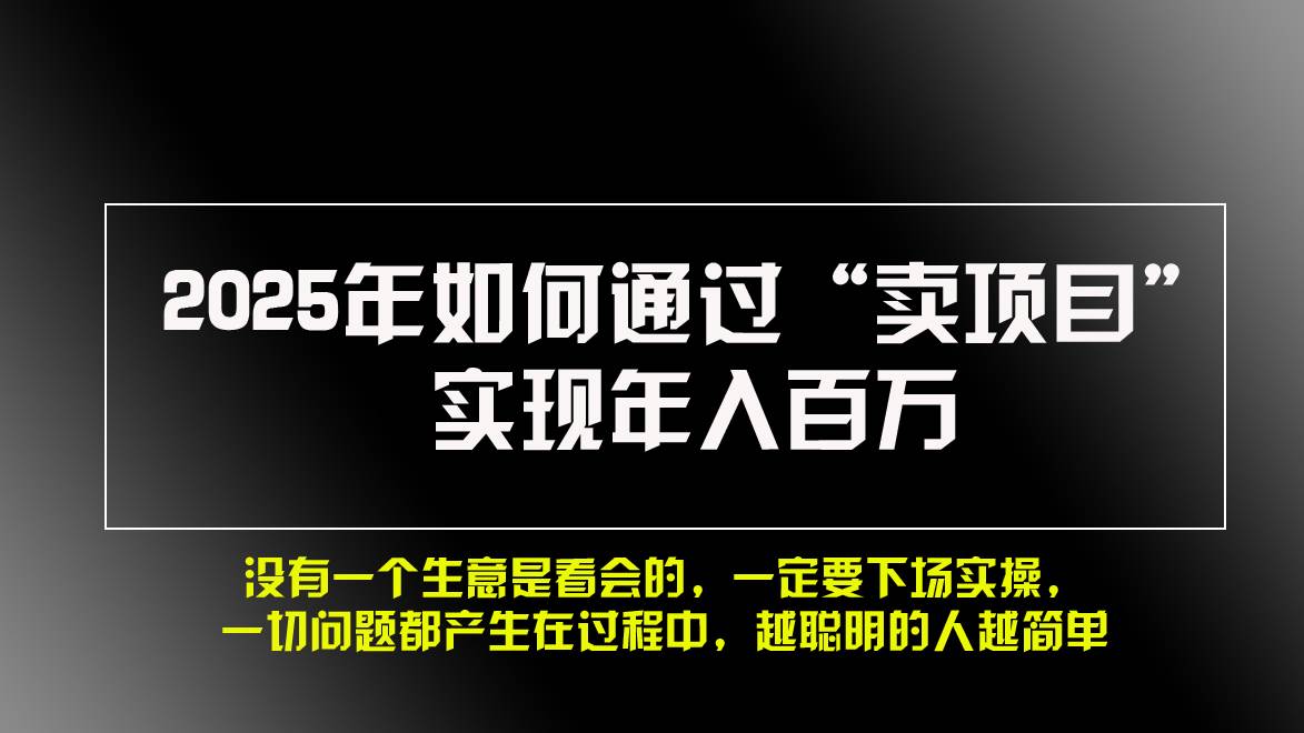 （13468期）2025年如何通过“卖项目”实现年入百万，做网赚必看！！-网赚联盟