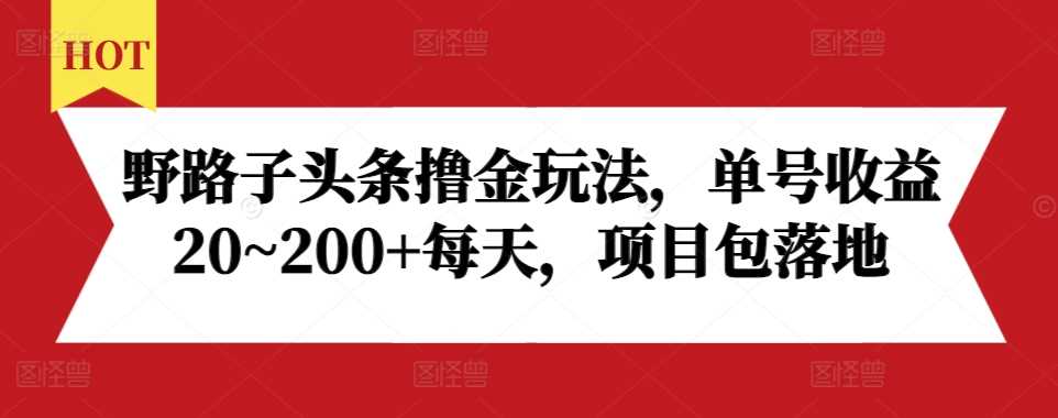 野路子头条撸金玩法，单号收益20~200+每天，项目包落地-网赚联盟