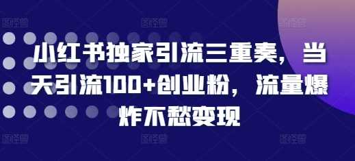 小红书独家引流三重奏，当天引流100+创业粉，流量爆炸不愁变现【揭秘】-网赚联盟