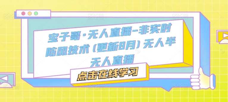 宝子哥·无人直播-非实时防风技术(更新11月)无人半无人直播-网赚联盟