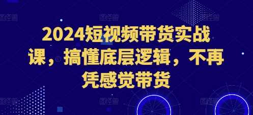 2024短视频带货实战课，搞懂底层逻辑，不再凭感觉带货-网赚联盟