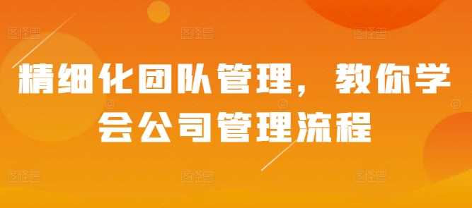 精细化团队管理，教你学会公司管理流程-网赚联盟