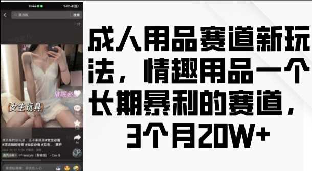 成人用品赛道新玩法，情趣用品一个长期暴利的赛道，3个月收益20个【揭秘】-网赚联盟