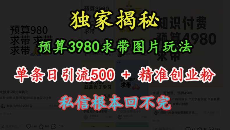 预算3980求带 图片玩法，单条日引流500+精准创业粉，私信根本回不完-网赚联盟