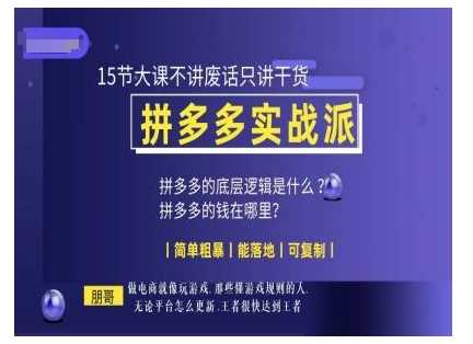 朋哥电商(拼多多实战派)，15节大课不讲废话只讲干货，简单粗暴 能落地 可复制-网赚联盟