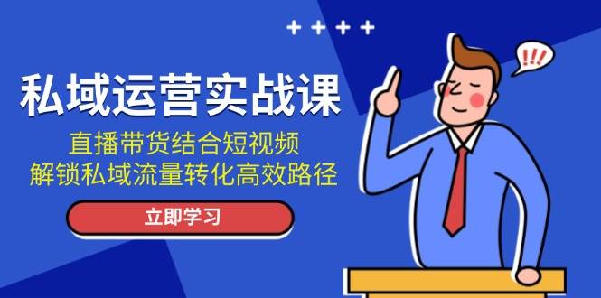 （13587期）私域运营实战课：直播带货结合短视频，解锁私域流量转化高效路径-网赚联盟