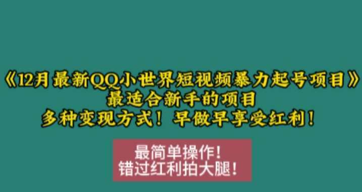 12月最新QQ小世界短视频暴力起号项目，最适合新手的项目，多种变现方式-网赚联盟