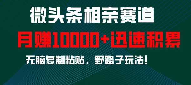 微头条相亲赛道，迅速积累，无脑复制粘贴，野路子玩法，月入1w-网赚联盟