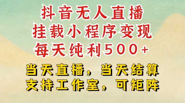 抖音无人直播挂载小程序变现每天纯利500+当天直播，当天结算支持工作室，可矩阵【揭秘】-网赚联盟