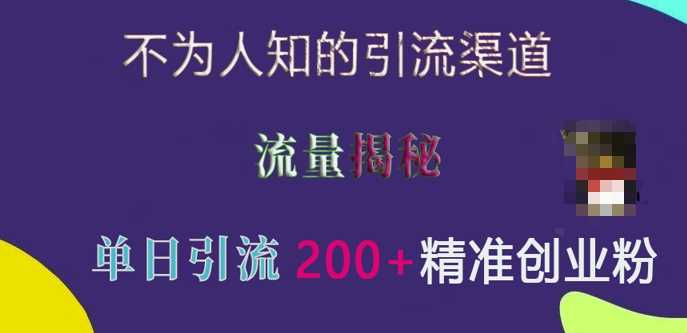 不为人知的引流渠道，流量揭秘，实测单日引流200+精准创业粉【揭秘】-网赚联盟