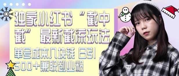 最新小红书截流玩法 独家截中截 单号成本几块钱 日引500+CY粉JZ粉-网赚联盟