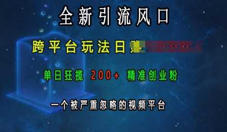 全新引流风口，跨平台玩法日入上k，单日狂揽200+精准创业粉，一个被严重忽略的视频平台-网赚联盟