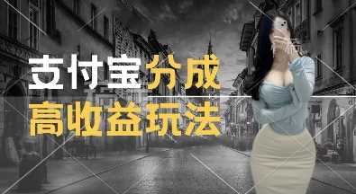 支付宝分成计划新玩法，利用交通事故视频，赚收益，轻松月入过W，操作简单【揭秘】-网赚联盟