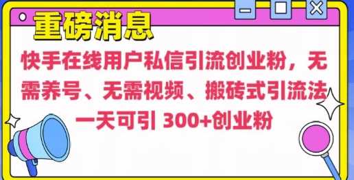 快手最新引流创业粉方法，无需养号、无需视频、搬砖式引流法【揭秘】-网赚联盟