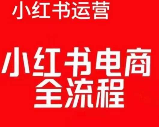 红薯电商实操课，小红书电商全流程-网赚联盟