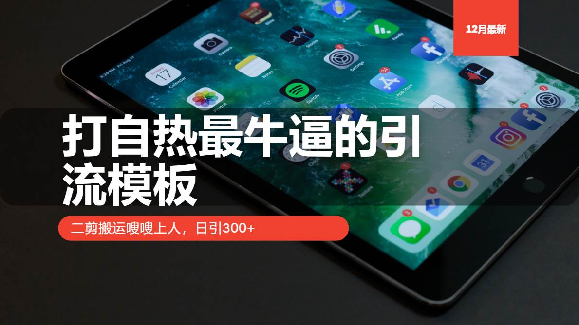 （13654期）打自热最牛逼的引流模板，二剪搬运嗖嗖上人，日引300+-网赚联盟