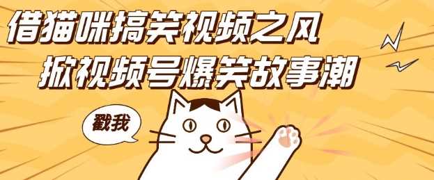 借猫咪搞笑视频之风，掀视频号爆笑故事潮，轻松日入四位数，无门槛快速入门!-网赚联盟