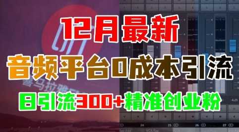 12月最新：音频平台0成本引流，日引流300+精准创业粉-网赚联盟