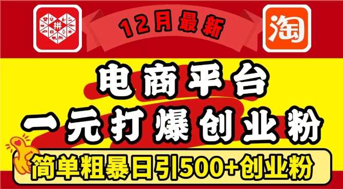 12月最新：电商平台1元打爆创业粉，简单粗暴日引500+精准创业粉，轻松月入过W【揭秘】-网赚联盟