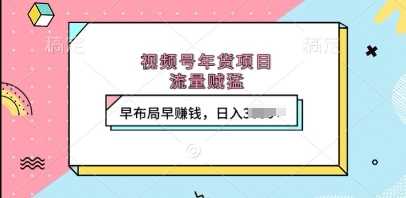 视频号年货项目，流量贼猛，早布局早挣钱，日入上k【揭秘】-网赚联盟
