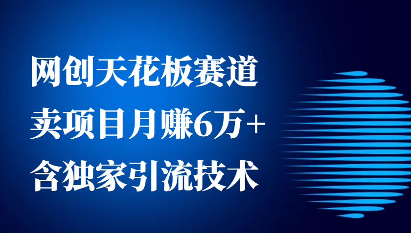 网创天花板赛道，卖项目月赚6万+，含独家引流技术（共26节课）-网赚联盟