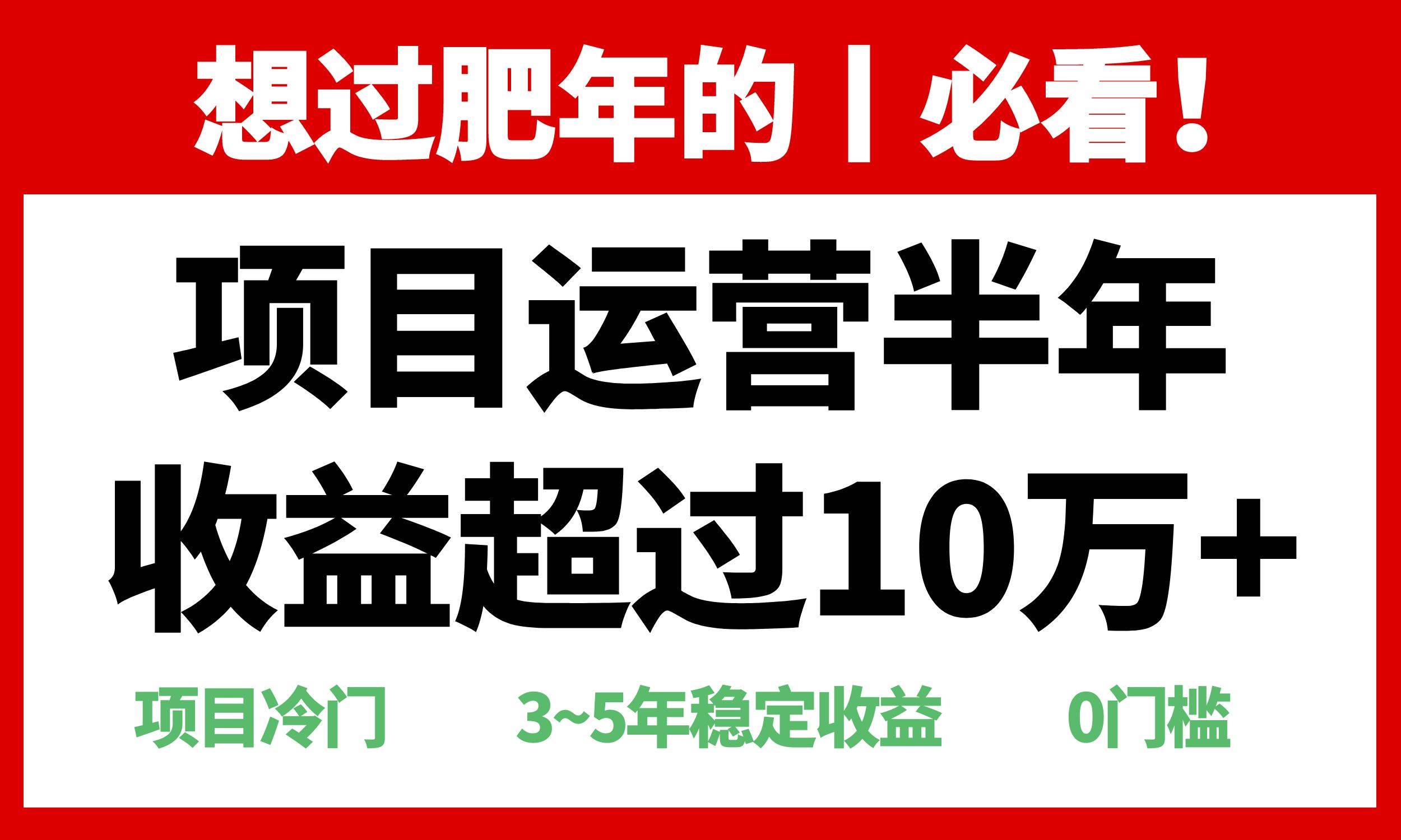 （13663期）年前过肥年的必看的超冷门项目，半年收益超过10万+，-网赚联盟