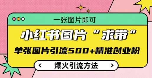 小红书图片‘求带’爆火引流法，单张图片引流500+精准创业粉【揭秘】-网赚联盟