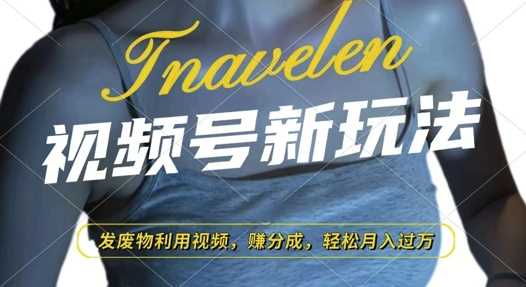 视频号新玩法，废物利用视频，撸分成收益，轻松月入过W【揭秘】-网赚联盟