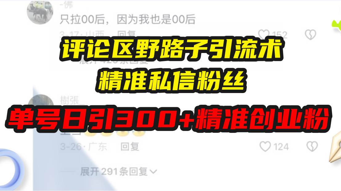 （13676期）评论区野路子引流术，精准私信粉丝，单号日引流300+精准创业粉-网赚联盟